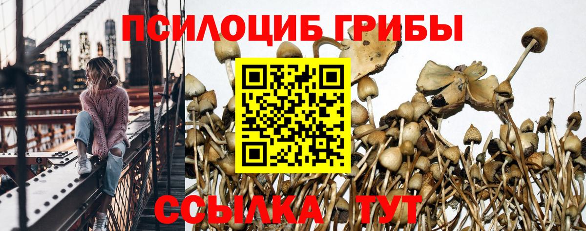 Псилоцибиновые грибы ЛСД  Вход с VPN  Кыштым 
