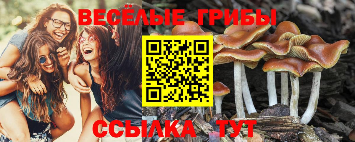 ГАШ Кыштым